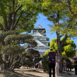 view from the main court