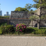 castle grounds