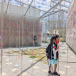 PXL_20250424_024357350