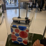 Navigation suitcase