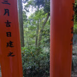 PXL_20250427_231519950