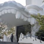 Enter through the dragon's mouth